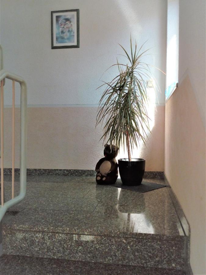 Ferienwohnung Jungbaer - Die Wohlfuehl-Adresse Im Stangenwald 장크트 잉베르트 외부 사진